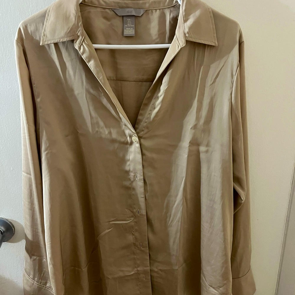 Silk Shirt
